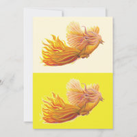 Phoenix Bird Flying
