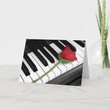 Piano e rosa