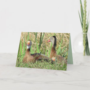 Cartão De Festividades Pic de Patos Assobiantes de Bela Negra Aniversário