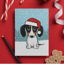 Piebald Dachshund Papais noeis Cute Wiener