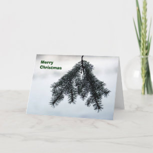 Cartão De Festividades Pine-in-snow card