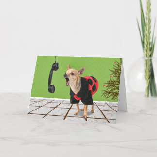 Cartão De Festividades pine needles