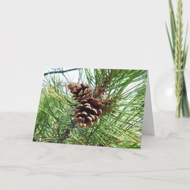 Cartão De Festividades Pine Needles Christmas Card (Frente)
