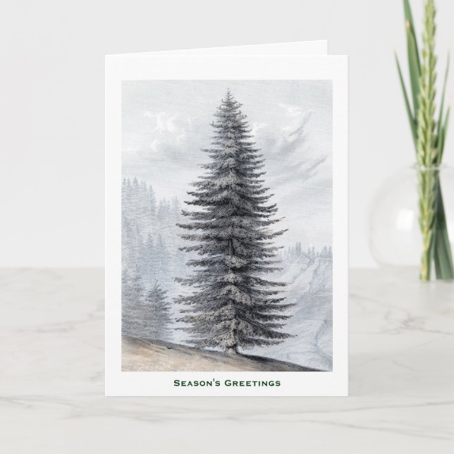 Cartão De Festividades Pine Tree Winter Snow Christmas Mounties Country (Frente)
