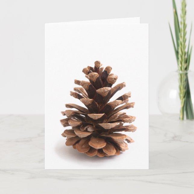 Cartão De Festividades Pinecona (Frente)