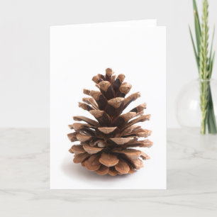 Cartão De Festividades Pinecona
