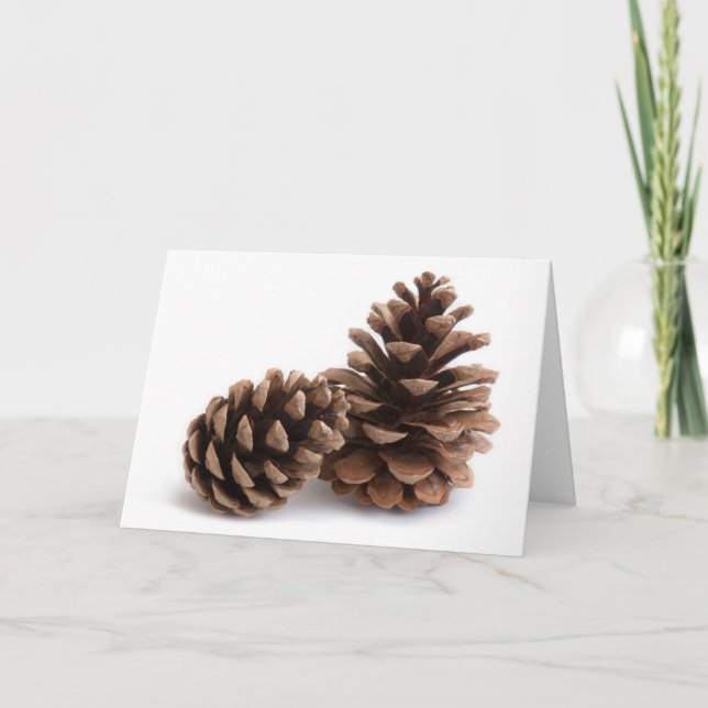 Cartão De Festividades Pinecones (Frente)