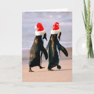 Cartão De Festividades Pinguins com Chapéus de Papai Noel na Praia