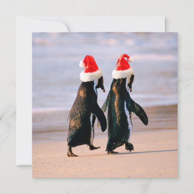 Cartão De Festividades Pinguins com Chapéus de Papai Noel na Praia (Frente)