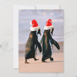 Cartão De Festividades Pinguins em Santa Hats na Praia