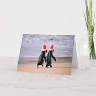 Cartão De Festividades Pinguins em Santa Hats na praia