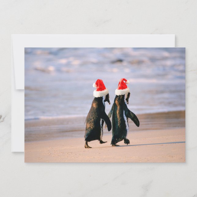 Cartão De Festividades Pinguins em Santa Hats na Praia (Frente)