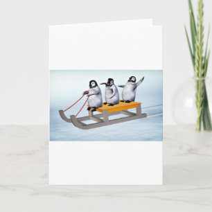 Cartão De Festividades Pinguins Sled