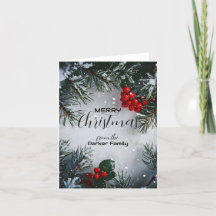 Pinheiro Nevado, Frutas de Azevinho, Não Fotográfi