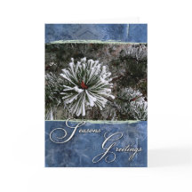 Pinheiro nos cumprimentos das neve-Estações