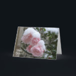 Cartão De Festividades Pink snow covered roses Xmas<br><div class="desc">These pink roses were still blooming in December when the snow fell. The Christmas card is customizable and has an address panel to let friends know if they've forgotten your address.</div>