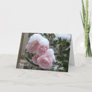 Cartão De Festividades Pink snow covered roses Xmas