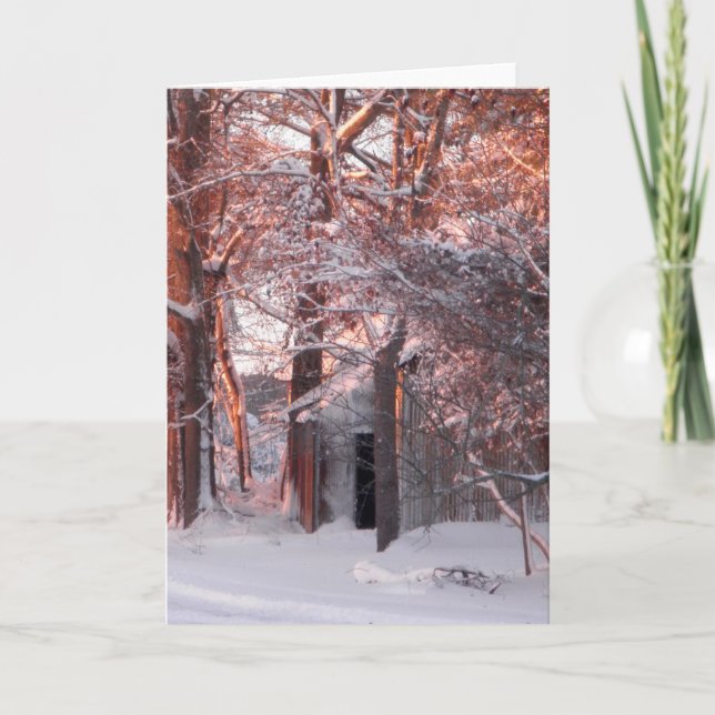 Cartão De Festividades Pink Sunrise on the Snow Winter Photo (Frente)