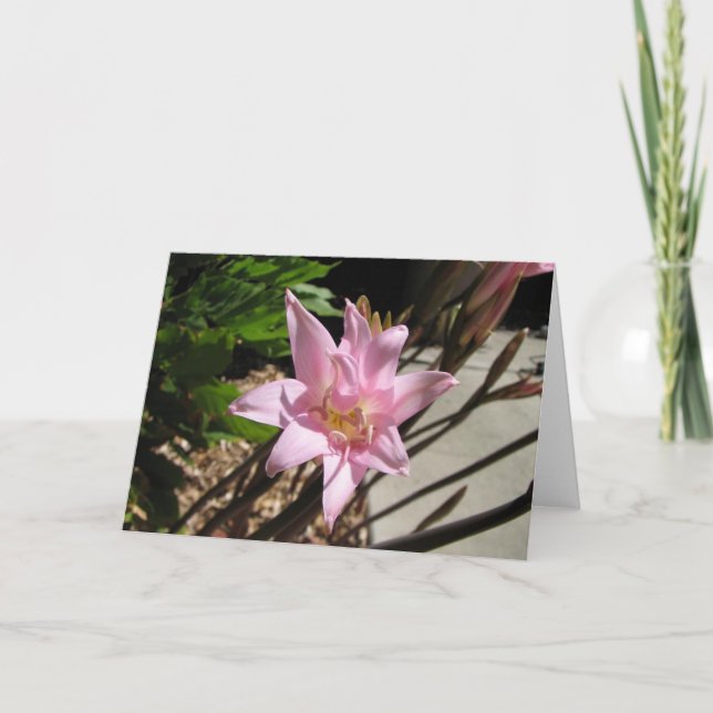 Cartão De Festividades pinks (Frente)