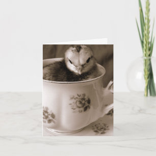 Cartão De Festividades Pintinho de páscoa em um Teacup