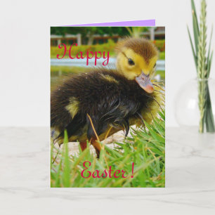 CARTÃO DE FESTIVIDADES PINTINHO III PÁSCOA