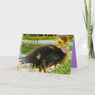 CARTÃO DE FESTIVIDADES PINTINHO III PÁSCOA