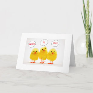 Cartão De Festividades Pintinhos HIP NO CAMINHO COM GREETINGS DE PÁSCOA