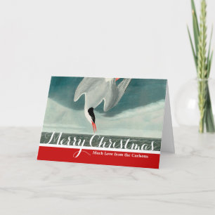 Cartão De Festividades Pintura de aves selvagens do Ártico Tern Audubon