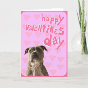 Cartão De Festividades Pit Bull Dog Happy Valentine's Day Greeting Card