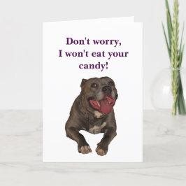 Cartão De Festividades Pitbull Funny Easter Card