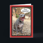 Cartão De Festividades Pitbull Hey Santa Christmas Card<br><div class="desc">This hilarious Christmas card is perfect for every dog lover. It shows our handsome and goofy Blue Nose Pitbull named Sarge. Sarge is sitting on a hillside with his mouth wide open as he yells to get Santa's attention. The message on the front says, "Hey SANTA!!" The message inside says,...</div>