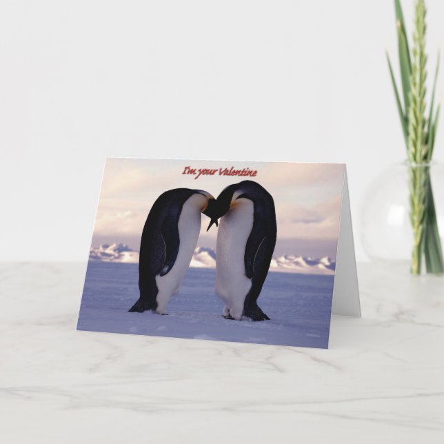 Cartão De Festividades PixDezines Kissing Emperor Penguin Valentine's (Frente)