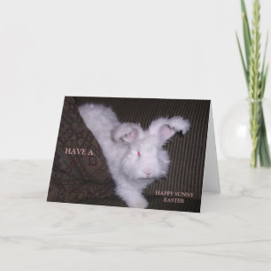 CARTÃO DE FESTIVIDADES PLACA BUNNY LESTE