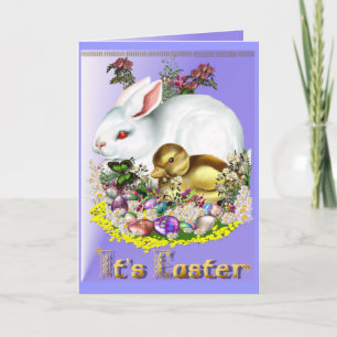 Cartão De Festividades Placa da páscoa 08