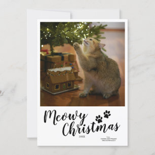 Cartão De Festividades Placa de Cat Personalizada para Script de Natal Me