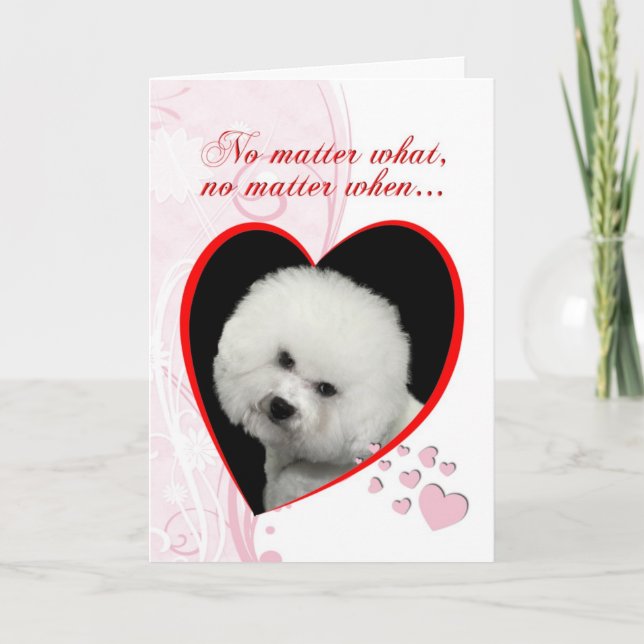 Cartão De Festividades Placa de Dia de os namorados Bichon (Frente)