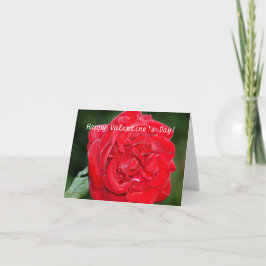 Cartão De Festividades Placa de dia de os namorados com Rosa vermelha