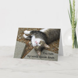 Cartão De Festividades Placa de Dia de os namorados de Gato Mundial para 