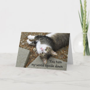 Cartão De Festividades Placa de Dia de os namorados de Gato Mundial para