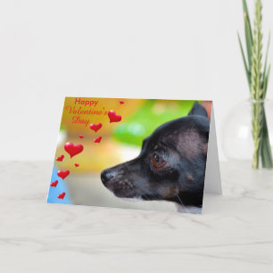Cartão De Festividades Placa de Feliz dia de os namorados Pinscher Miniat