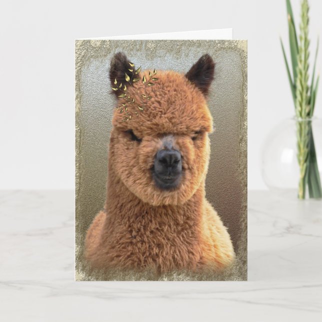Cartão De Festividades Placa de Feriado Alpaca (Frente)