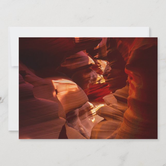 Cartão De Festividades Placa de Feriado Plana de Canyon de Ranhura Antelo (Frente)