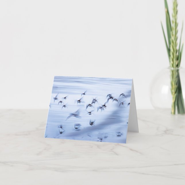 Cartão De Festividades Placa de férias dobrada pequena, 4" x 5,6" (Frente)