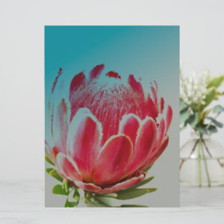 Cartão De Festividades Placa De Férias Plana Com Flor De Proteína