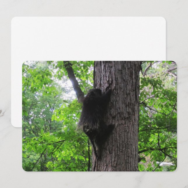 Cartão De Festividades Placa de férias planas alta escalada (Frente/Verso)