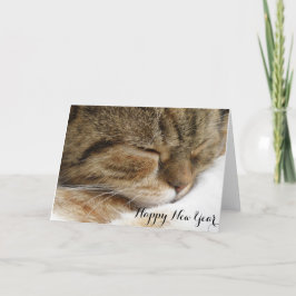 Cartão De Festividades Placa de Gato do feliz ano novo