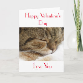 Cartão De Festividades Placa de Gato do feliz dia de os namorados