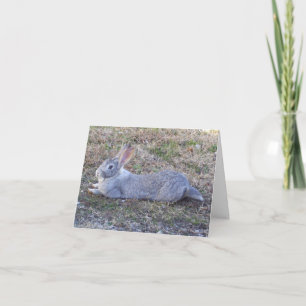 Cartão De Festividades Placa de Namorados Bunny preguiçosa