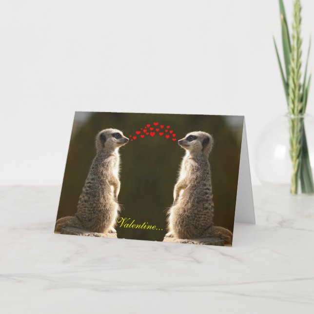 Cartão De Festividades Placa de Namorados Meerkat 003 (Frente)