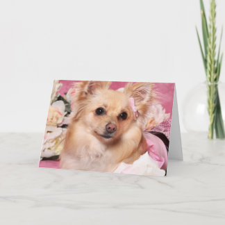 Cartão De Festividades Placa de Namorados Pomerian